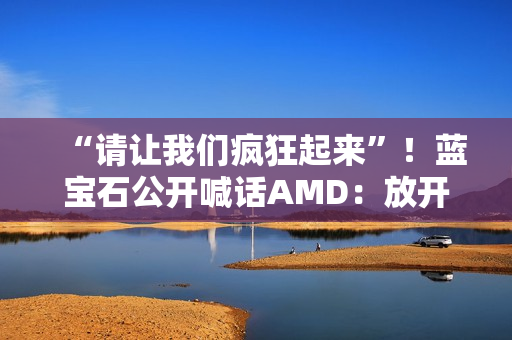 “请让我们疯狂起来”！蓝宝石公开喊话AMD：放开显卡限制