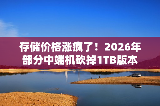 存储价格涨疯了！2026年部分中端机砍掉1TB版本