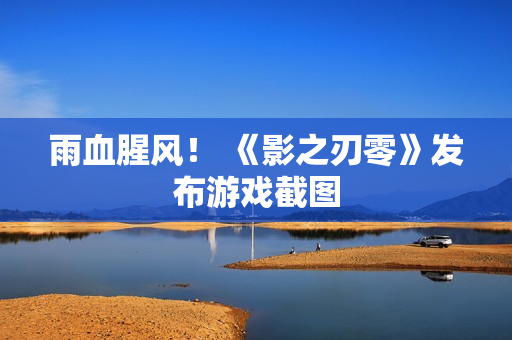 雨血腥风！ 《影之刃零》发布游戏截图