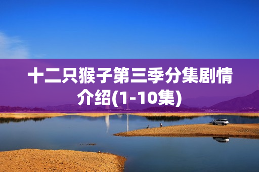 十二只猴子第三季分集剧情介绍(1-10集)