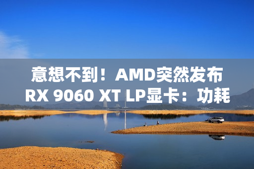 意想不到！AMD突然发布RX 9060 XT LP显卡：功耗降了