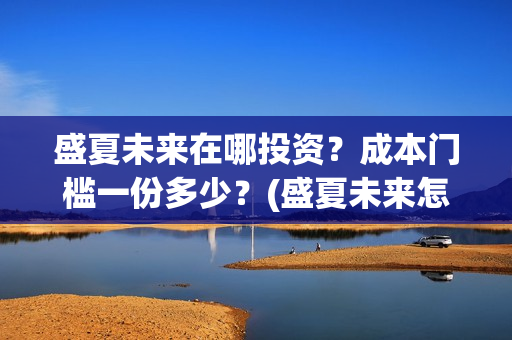 盛夏未来在哪投资？成本门槛一份多少？(盛夏未来怎么提前上映了)