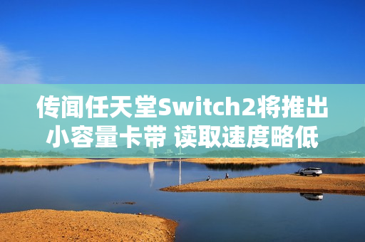 传闻任天堂Switch2将推出小容量卡带 读取速度略低