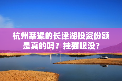 杭州莘璨的长津湖投资份额是真的吗？挂猫眼没？
