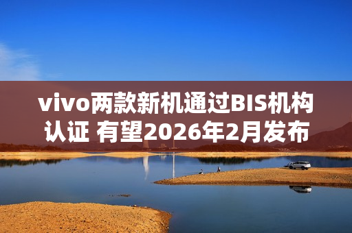 vivo两款新机通过BIS机构认证 有望2026年2月发布