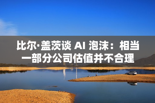 比尔·盖茨谈 AI 泡沫：相当一部分公司估值并不合理