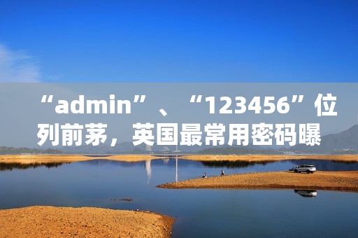 “admin”、“123456”位列前茅，英国最常用密码曝光