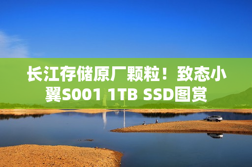 长江存储原厂颗粒！致态小翼S001 1TB SSD图赏