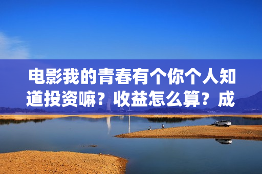 电影我的青春有个你个人知道投资嘛？收益怎么算？成本多少？(我的青春有_)
