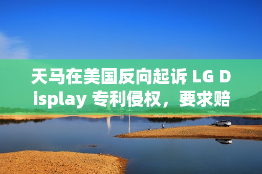 天马在美国反向起诉 LG Display 专利侵权，要求赔偿和产品禁令