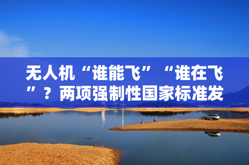 无人机“谁能飞”“谁在飞”？两项强制性国家标准发布，明年 5 月起实施
