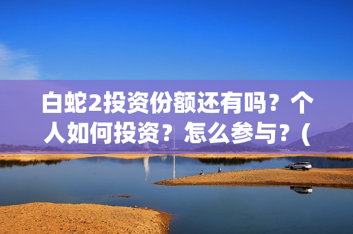 白蛇2投资份额还有吗？个人如何投资？怎么参与？(白蛇2亏本了吗)