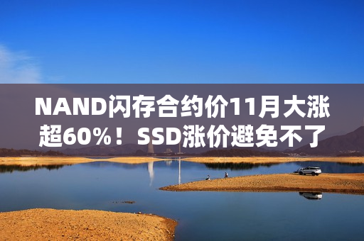 NAND闪存合约价11月大涨超60%！SSD涨价避免不了