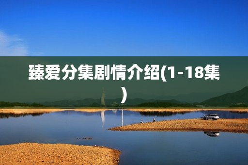 臻爱分集剧情介绍(1-18集)