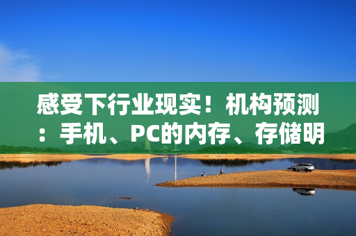 感受下行业现实！机构预测：手机、PC的内存、存储明年Q1至少涨幅30%！