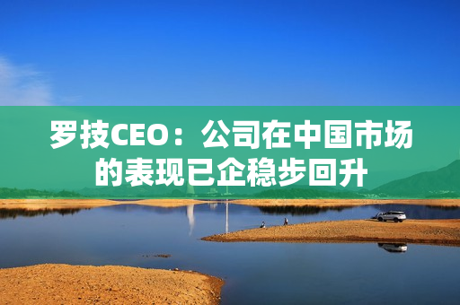 罗技CEO：公司在中国市场的表现已企稳步回升