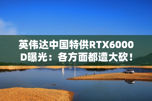 英伟达中国特供RTX6000D曝光：各方面都遭大砍！