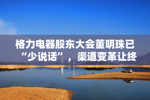 格力电器股东大会董明珠已“少说话”，渠道变革让终端经销商直接与总部对接