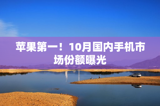 苹果第一！10月国内手机市场份额曝光