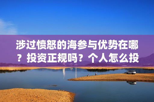 涉过愤怒的海参与优势在哪？投资正规吗？个人怎么投资？(涉过愤怒的海参演的日本演员)
