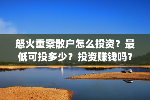 怒火重案散户怎么投资？最低可投多少？投资赚钱吗？(怒火重案投资者的收益具体有哪些呢?)