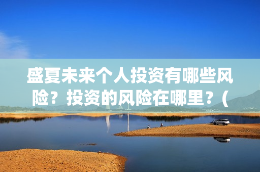 盛夏未来个人投资有哪些风险？投资的风险在哪里？(盛夏未来个人投资多少钱)