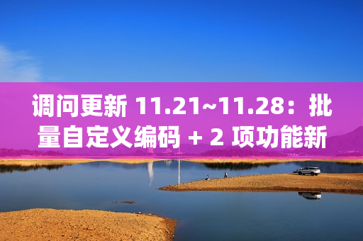 调问更新 11.21~11.28：批量自定义编码 + 2 项功能新增 + 4 项功能优化 + 7 项 BugFix