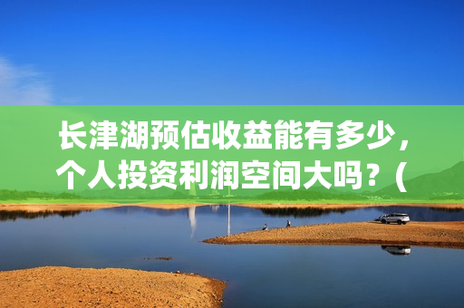 长津湖预估收益能有多少，个人投资利润空间大吗？(长津湖利好)