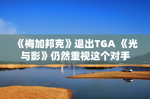 《梅加邦克》退出TGA 《光与影》仍然重视这个对手
