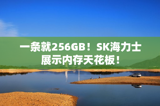 一条就256GB！SK海力士展示内存天花板！