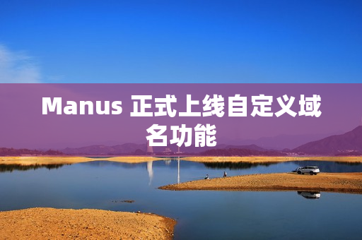 Manus 正式上线自定义域名功能