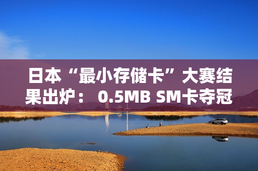 日本“最小存储卡”大赛结果出炉： 0.5MB SM卡夺冠