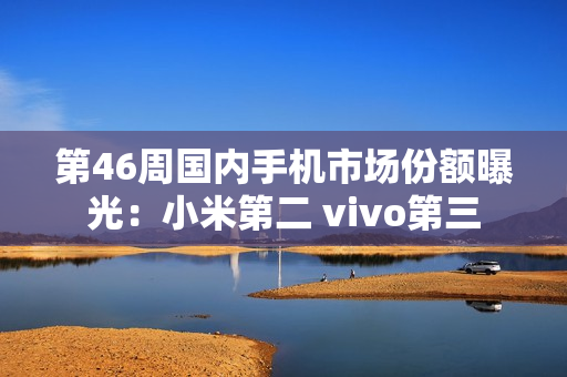 第46周国内手机市场份额曝光：小米第二 vivo第三