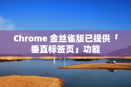 Chrome 金丝雀版已提供「垂直标签页」功能