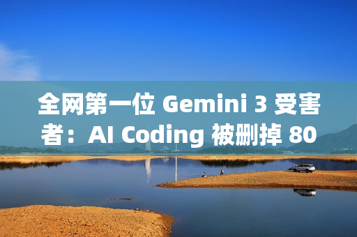 全网第一位 Gemini 3 受害者：AI Coding 被删掉 800GB 重要文件
