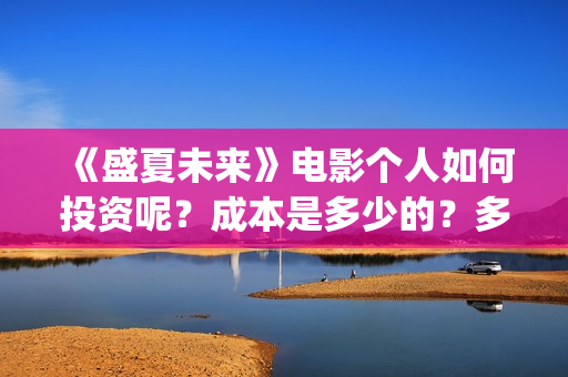 《盛夏未来》电影个人如何投资呢？成本是多少的？多少起投呢、(盛夏未来高清版)