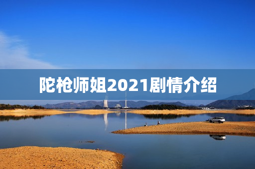 陀枪师姐2021剧情介绍