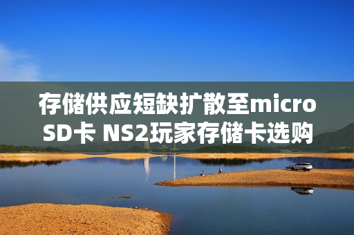 存储供应短缺扩散至microSD卡 NS2玩家存储卡选购受影响 存储供应短缺扩散至microSD卡 NS2玩家存储卡选购受影响