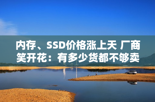 内存、SSD价格涨上天 厂商笑开花：有多少货都不够卖