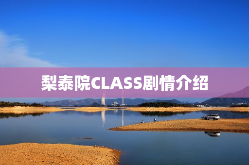 梨泰院CLASS剧情介绍