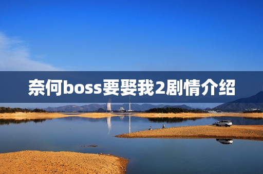 奈何boss要娶我2剧情介绍