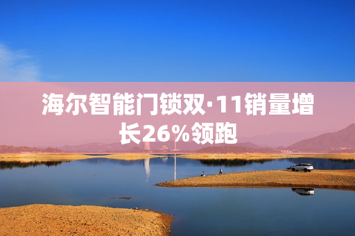 海尔智能门锁双·11销量增长26%领跑