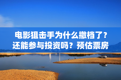 电影狙击手为什么撤档了？还能参与投资吗？预估票房能有多少呢？(狙击手电影为什么撤档)