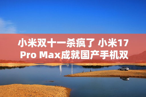 小米双十一杀疯了 小米17 Pro Max成就国产手机双冠王