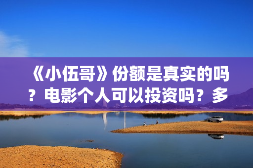 《小伍哥》份额是真实的吗？电影个人可以投资吗？多少起投呢？(小伍哥是谁呀)