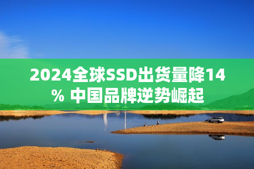 2024全球SSD出货量降14% 中国品牌逆势崛起 2024全球SSD出货量降14% 中国品牌逆势崛起