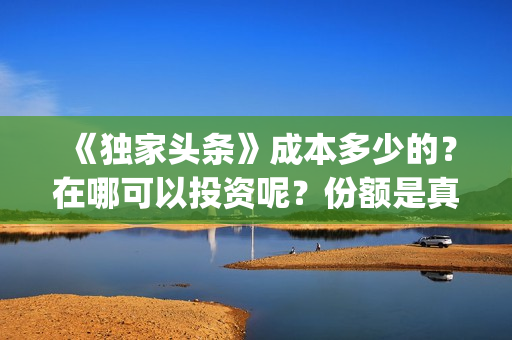 《独家头条》成本多少的？在哪可以投资呢？份额是真实的吗？(电影独家头条讲了个啥)