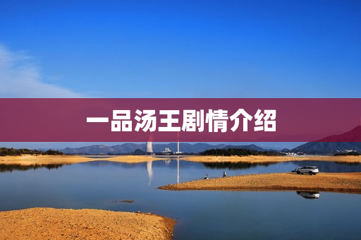 一品汤王剧情介绍