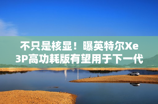 不只是核显！曝英特尔Xe3P高功耗版有望用于下一代游戏独显