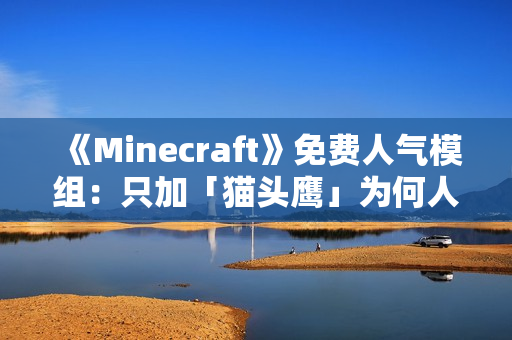 《Minecraft》免费人气模组：只加「猫头鹰」为何人气爆棚？